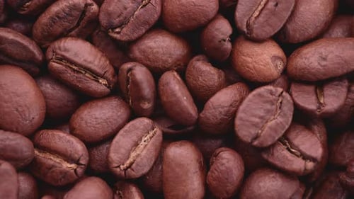 Kaffeebohnen bewegen sich in einer Mühle - Nahaufnahme