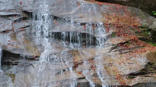 Klares Wasser, das über eine steile Felswand fließt, umgeben von farbenfrohen Herbstblättern in einem Waldbach