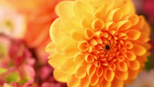 Ramo otoño-otoño para el Día de Acción de Gracias, arreglo floral cálido y colorido