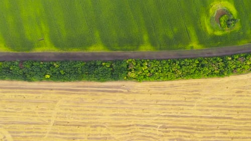 Field with Haystacks After Harvest Rural Landscape