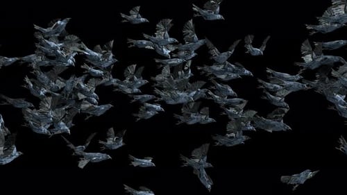 Abstract Stylized Dark Birds Flying Loopable Animation