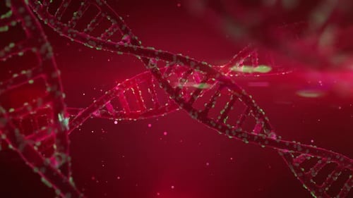 Medical DNA Background Red Color 02