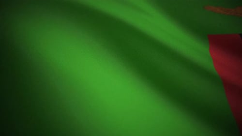 Realistic Fabric Waving Flag Animation