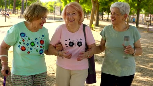 Senior Women Walking Arm-in-Arm in Sunny Park