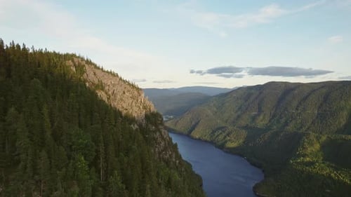 Aerial Perspective Of Lush Pine Forests On Mountains And Winding Fjord