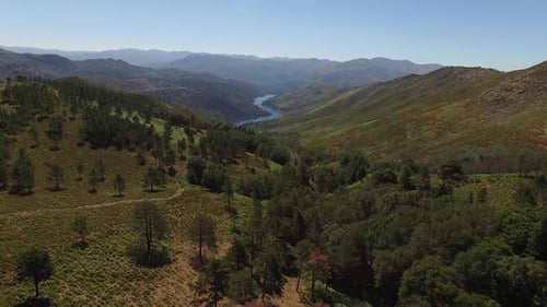 Cinematic Drone View of Winding River Through Lush Green Valley