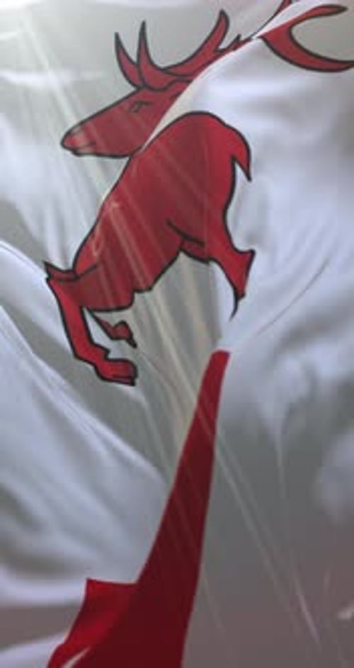 White Flag with Red Deer Emblem Waving in Vertical Video