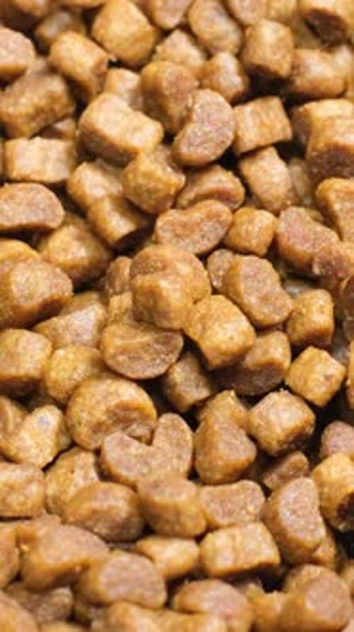 Pile of Dry Dog Food Close Up