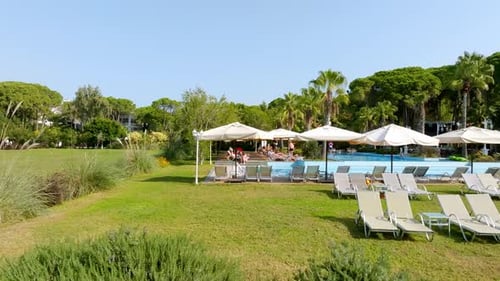 Luxurious Beach Resort with Swimming Pool and Beach Chairs and Palm Trees