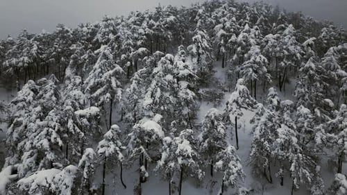 Montagnes enneigées et brouillard - 2K