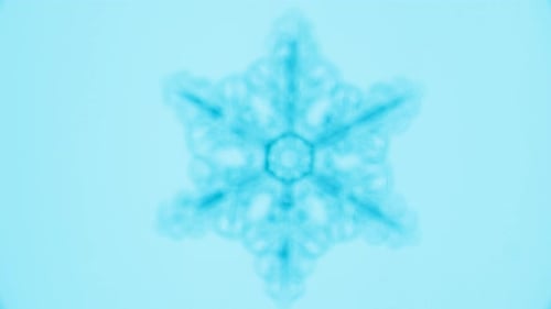 Snowflake under microscope