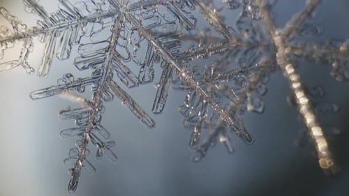 Snowflake ice crystals stellar dendrites under microscope macro large magnification close up
