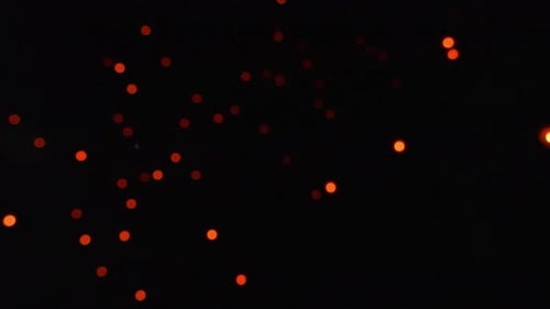 Soft Focus Sky Lanterns Drifting Upward in Dark Sky