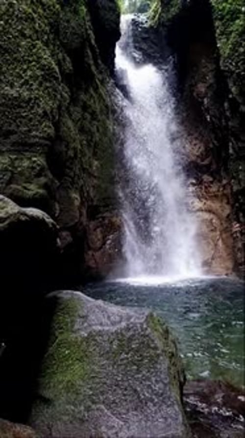 Waterfall Cascading Into Pool in Lush Green Nature