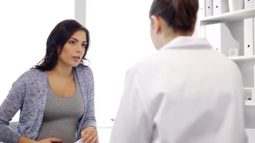 Pregnant Woman Consults Doctor in Bright Office