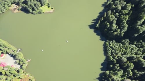 Beautiful spring nature landscape with a blue lake water between green forest