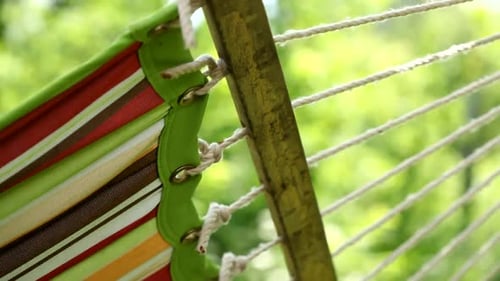 Swinging Hammock Book