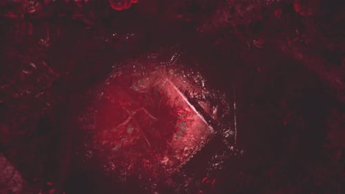 Horror vudú con tentáculos rojos