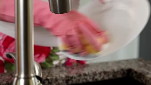 Dish Cleaning Action