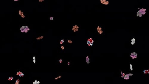 Flowers Flying In The Air. Flowers Rain With Alpha Channel