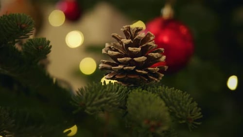 Shiny Toy Ball on a Christmas Tree