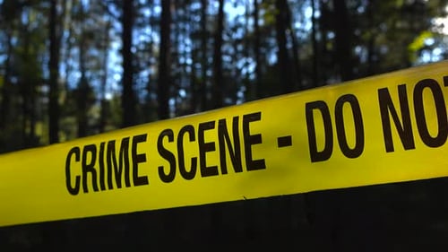 Crime scene tape in a dark forest back lit by sunlight while tall trees are bokeh blurry in back.