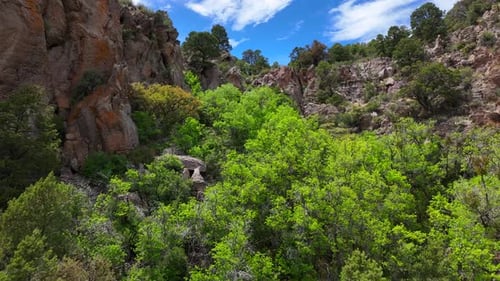 Aerial view of rocky hillside with trees, United States.