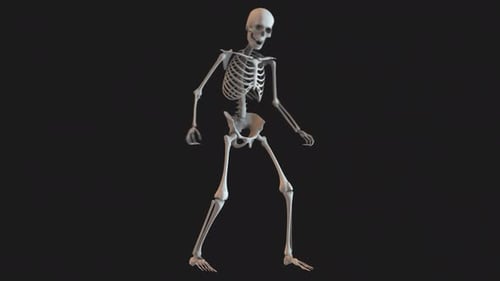 Skeleton Stood Looking 01