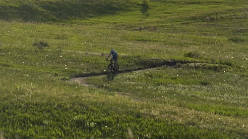 Mountain bikers riding in a trail