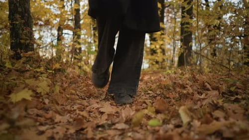 Leg View of Person Walking Through Autumn Foliage on Scenic Forest Path