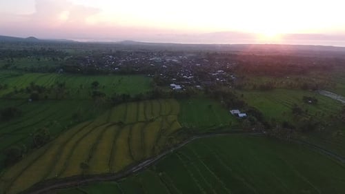 Sunrise Over Lush Terraced Rice Fields, Rural Village