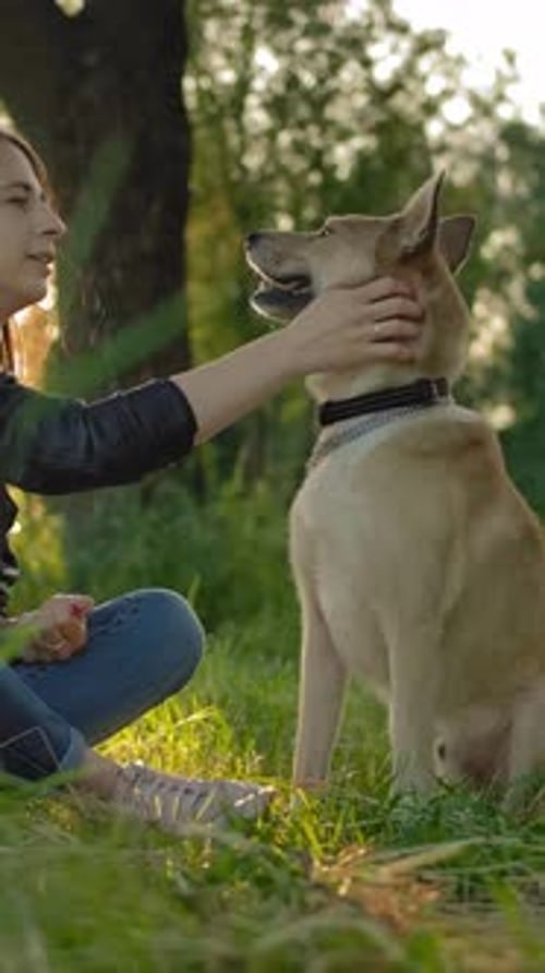 Woman Pets Dog in a Grassy Field