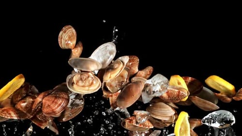 Des moules fraîches avec de la glace et des citrons se lèvent et tombent