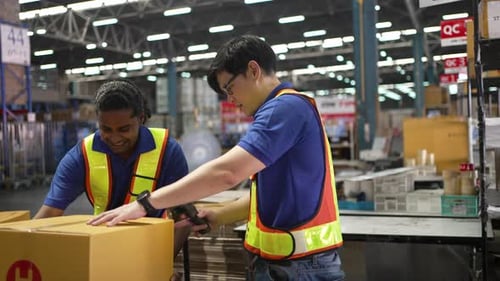 Logistics employees are working warehouse.