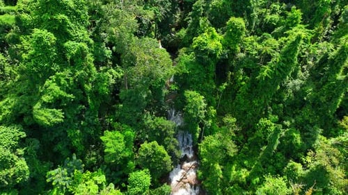 Lush Tropical Rainforest Waterfall Aerial View