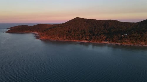 Sonnenuntergang — Waldrand — Noosa National Park — Sunshine Coast, QLD, Australien
