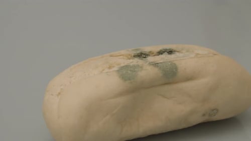 High angle dolly of fungus spots on bread