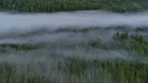Valley By Mountains and Green Trees Covered in Fog Canadian Landscape Nature Aerial