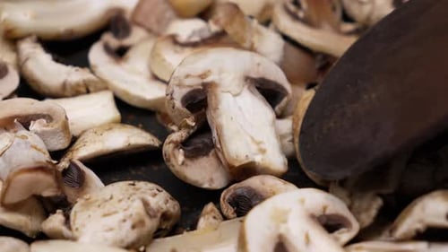 Fresh Champignon Mushroom Slices Ready for Cooking in March
