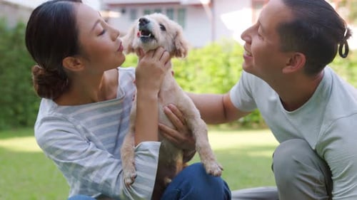 Loving Couple Posing with Their Cute Dog Outdoors