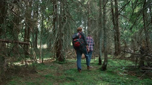 Back View Female And Male Hikers Walking In Forest. Couple Of Tourists Trekking Between Green Tre...