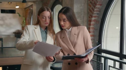 Business Team Colleagues Caucasian Coworkers Manager Executives Women Businesswomen Girls Female