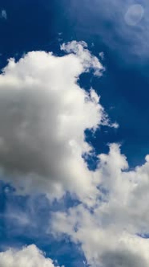 Light white clouds moving along the sky. Low angle view timelapse on sunny day. Vertical video