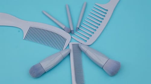 Hair Combs and Make-Up Brushes Stationary