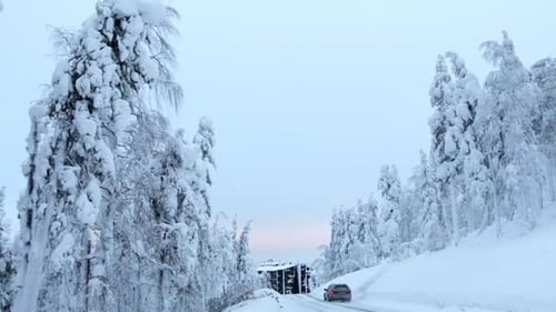Snowy Forest and Car on the Evening Road
