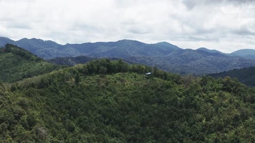 Drone rising up, view of small shelter on top of green