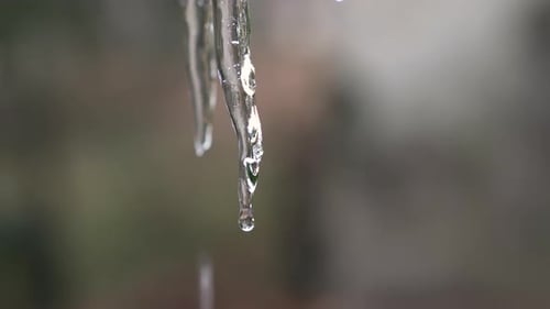 Una especie portátil de hielo derretido, gotas de agua cayendo por un manantial, concepto de desparasitación global.
