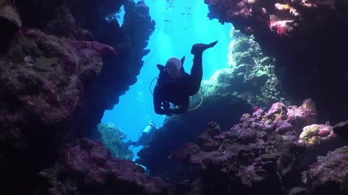 Divers exploring a reef cave in a Red Sea, Egypt
