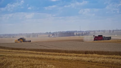 Combine harvesting wheat. Combine harvester at work harvesting field of wheat