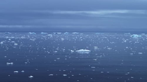 Eis und Eisberge schwimmen auf dem Meer in der Antarktis, viele kleine Eisstücke auf dem Blau